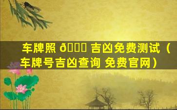 车牌照 🐛 吉凶免费测试（车牌号吉凶查询 免费官网）